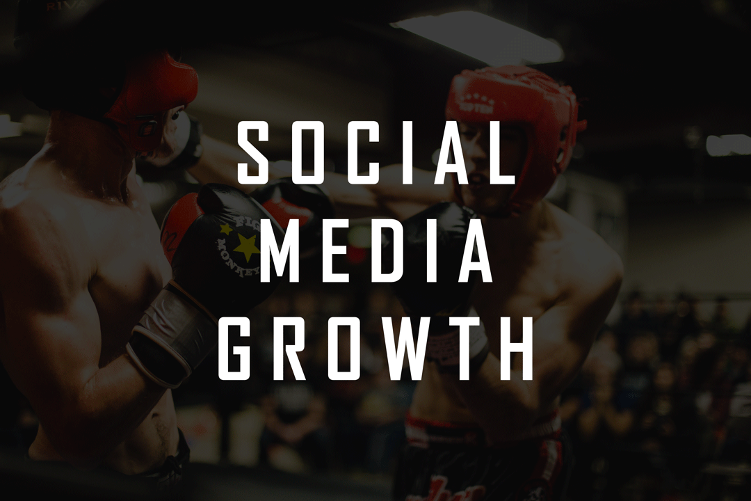 Read more about the article Why You’re Not Growing On Social Media As An Independent Artist