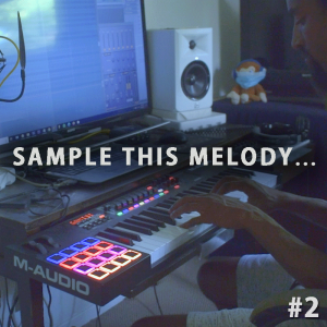 STM #2 – FREE Melody Loop